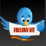 Free: Twitter Icons