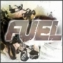 Fuel in Cartea Recordurilor