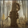 Where The Wild Things Are