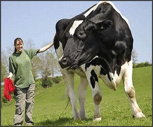 Animale imense