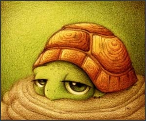 Desene dragute semnate Faboarts