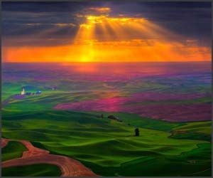 49 de wallpapere superbe inspirate din natura