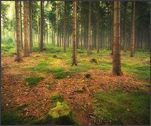 Fotograful Marco Heisle