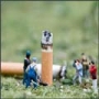 Oamenii misteriosi in miniatura