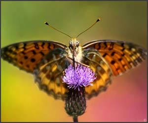 25 de fotografii impresionante marca Maria Llorens