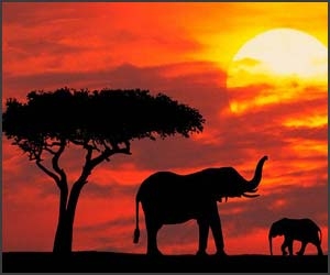 Taramuri mirifice: Kenya