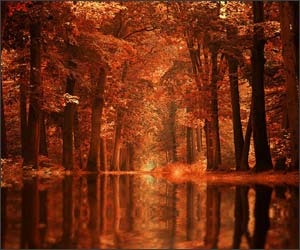 Noi fotografii superbe semnate Sortvind