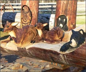 Sculptura in lemn de Randall D.Boni