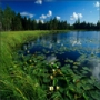 Natura surprinsa in fotografii: patru anotimpuri