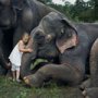 28 de super poze cu fetita care iubeste toate animalele