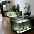 Acvariul-gradina, de Mathieu Lehanneur