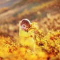 Copiii minunati fotografiati de Elena Gernovich