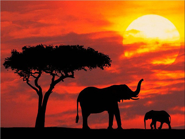 10 poze superbe: Africa