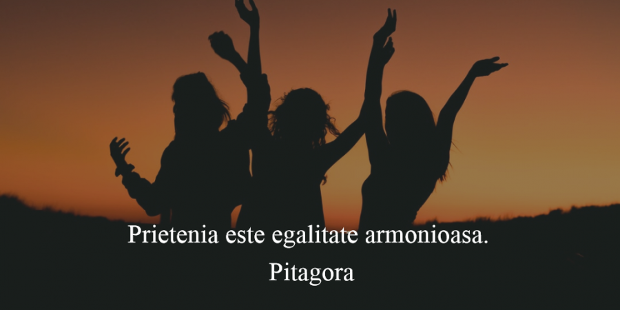 Cele Mai Frumoase Citate Despre Prietenia Adevarata