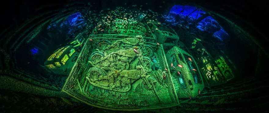 Fotografii superbe din uimitoarea lume subacvatica - Poza 1