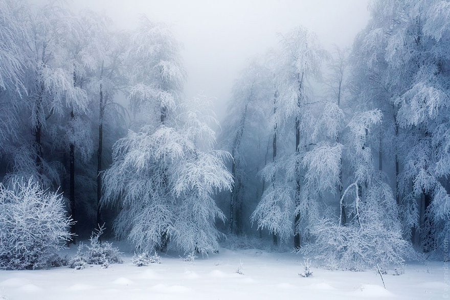 Cele mai frumoase peisaje de iarna - Poza 6