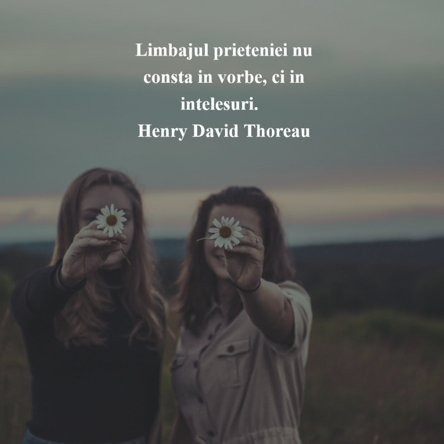 Cele Mai Frumoase Citate Despre Prietenia Adevarata