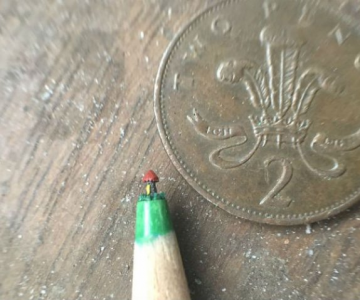 Cele mai mici sculpturi in mina de creion