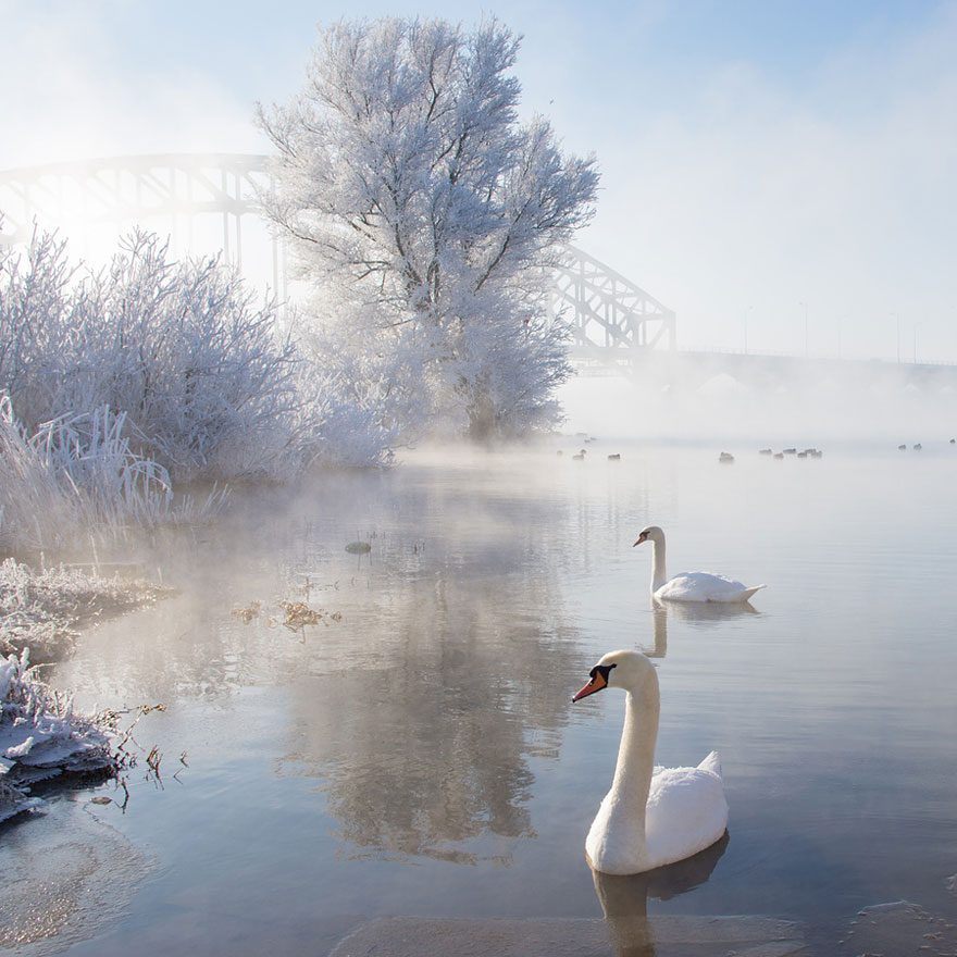 Cele mai frumoase peisaje de iarna - Poza 8