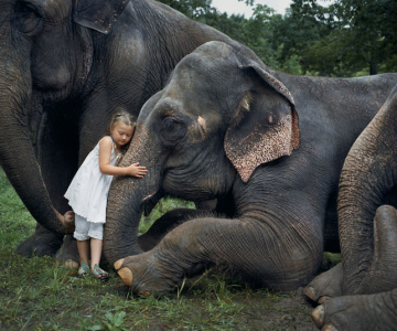 28 de super poze cu fetita care iubeste toate animalele