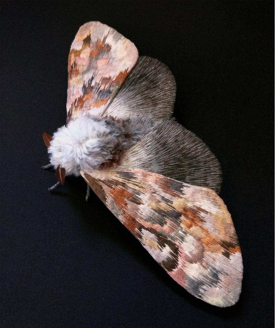 Gingasia Fluturilor Crosetati Cu Yumi Okita