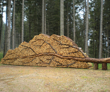 Creatii ingenioase cu lemne taiate