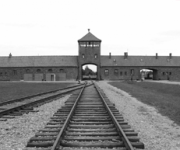 ÃŽnapoi la Auschwitz