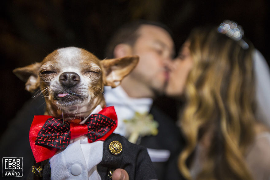 Cele mai bune fotografii de nunta din 2018 - Poza 3