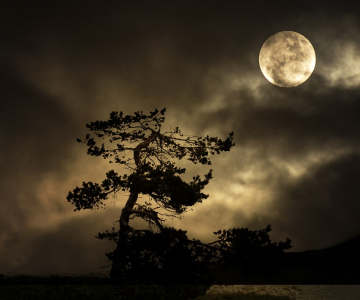 Cele mai frumoase ipostaze ale lunii, in poze superbe