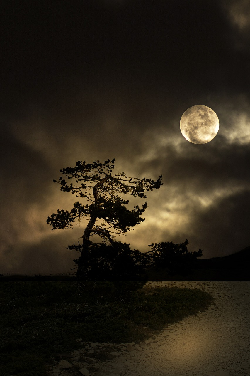 Cele mai frumoase ipostaze ale lunii, in poze superbe - Poza 1