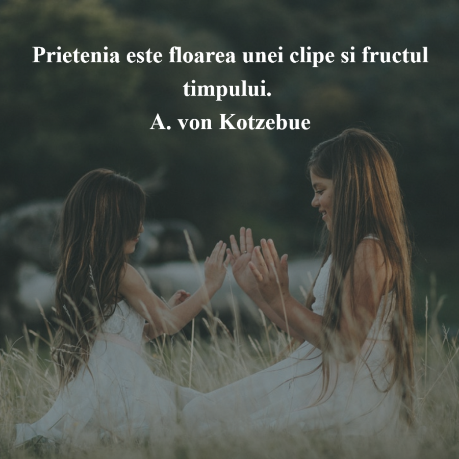 Cele Mai Frumoase Citate Despre Prietenia Adevarata