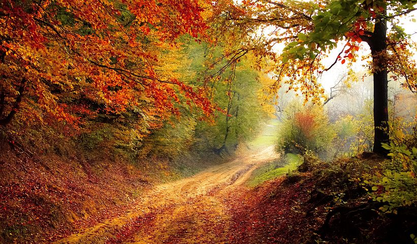 Imagini Desktop Peisaje De Toamna Poze Super Misto Autumn Scenery Autumn Scenes Autumn Nature
