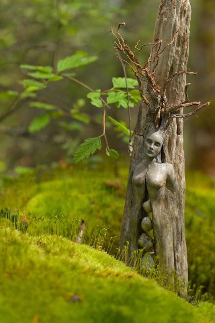 Spiritele naturii: Sculpturi himerice gingase - Poza 8
