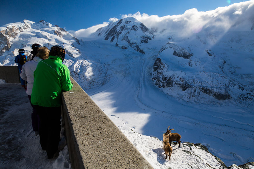 Maretia Alpilor pe timp de iarna - Poza 11