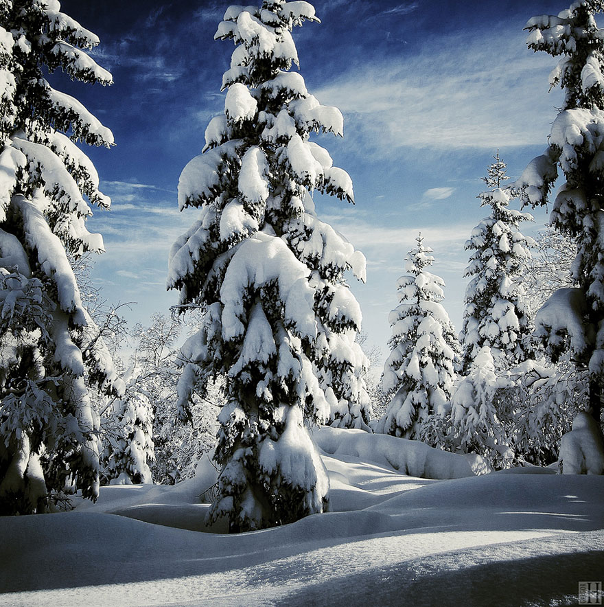 Cele mai frumoase peisaje de iarna - Poza 19