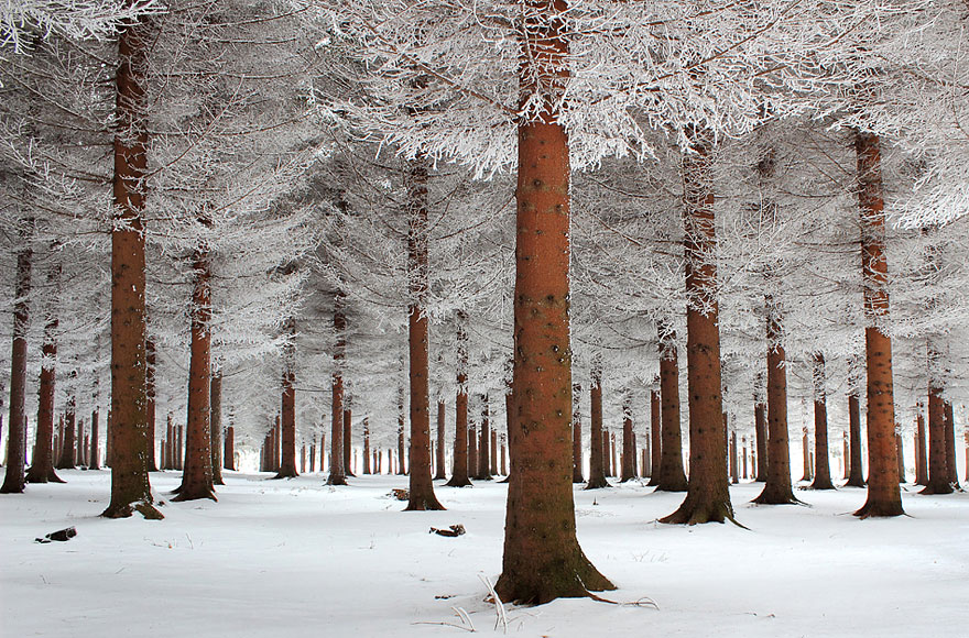 Cele mai frumoase peisaje de iarna - Poza 2
