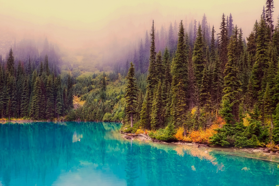 Poze Imagini Desktop Imagini Frumoase De Dragoste Peisaje Naturale Imagini Cu Pisici Poze Frumoase Si Imagini Pentru In 2020 Beautiful Nature Nature Wallpaper Scenery