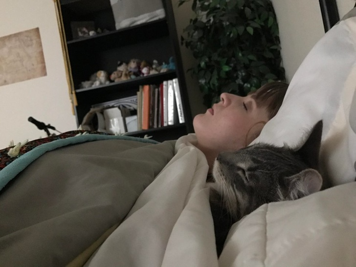 20+ Pisici adorabile si somnul lor nefiresc - Poza 6
