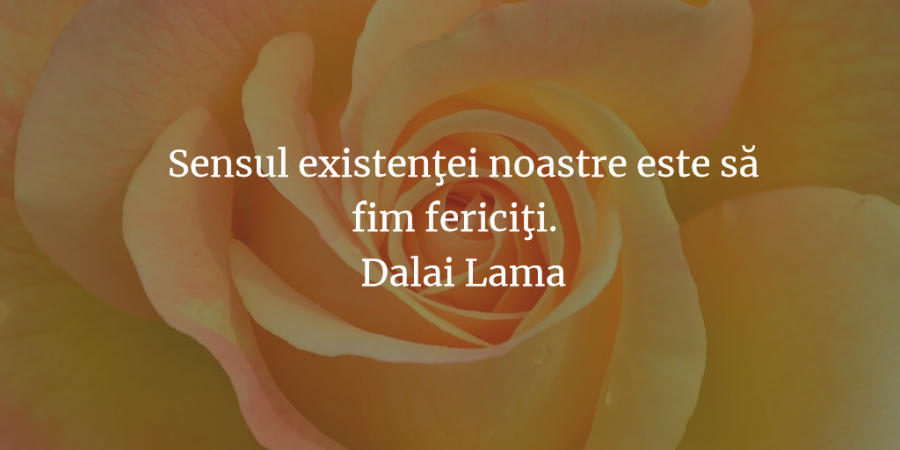 Din Bucuria De A Trai Cele Mai Frumoase Statusuri Despre Viata