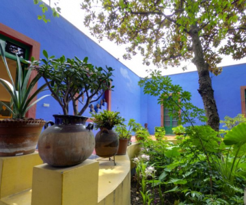 Casa Azul: Un tur memorabil in cel mai intim loc al Fridei Khalo