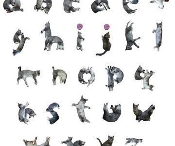 Alfabetul din pisici, de la NekoFont
