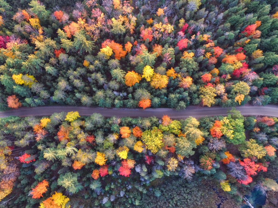 Cele mai frumoase peisaje de toamna, in imagini superbe - Poza 3