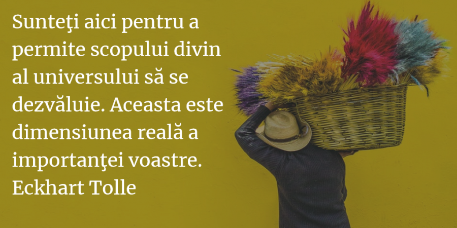 Din Bucuria De A Trai Cele Mai Frumoase Statusuri Despre Viata