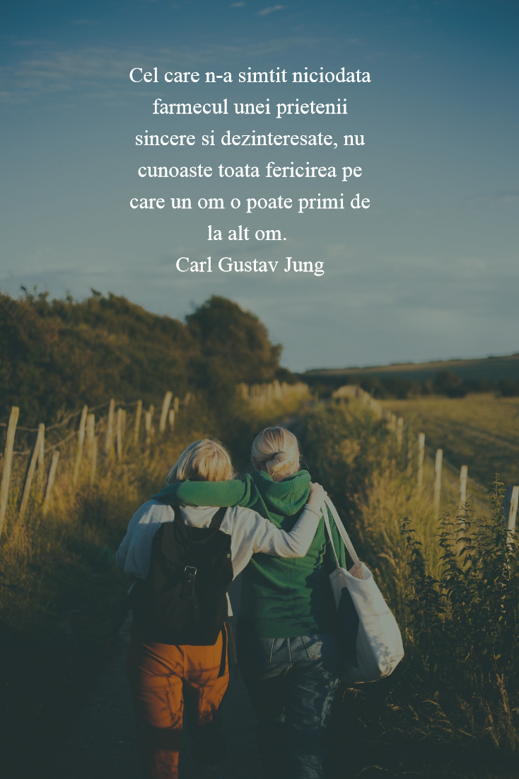Cele Mai Frumoase Citate Despre Prietenia Adevarata