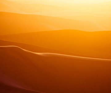 Frumusete in desert, cu Shawn van Eeden