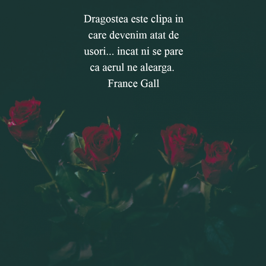 Citate Superbe Despre Dragoste Care Iti Vor Umple Inima Cu Bucurie