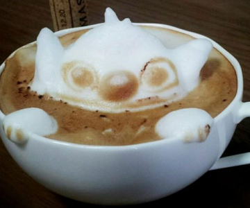 Arta 3D in cafe latte, de Kazuki Yamamoto