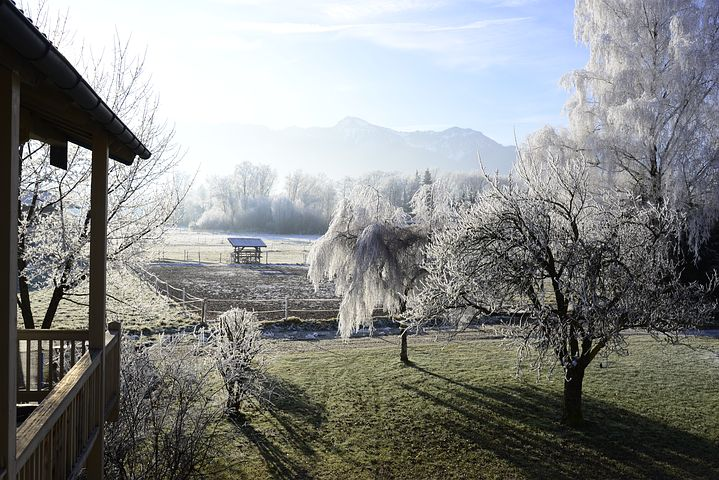 Cele mai frumoase ipostaze ale iernii, in poze sublime - Poza 16
