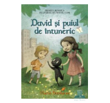 David si puiul de intuneric - Maria Surducan