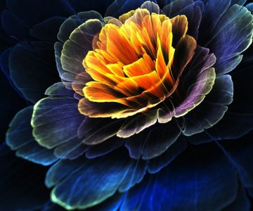 Flori luminoase, de Tatiana Kondratova